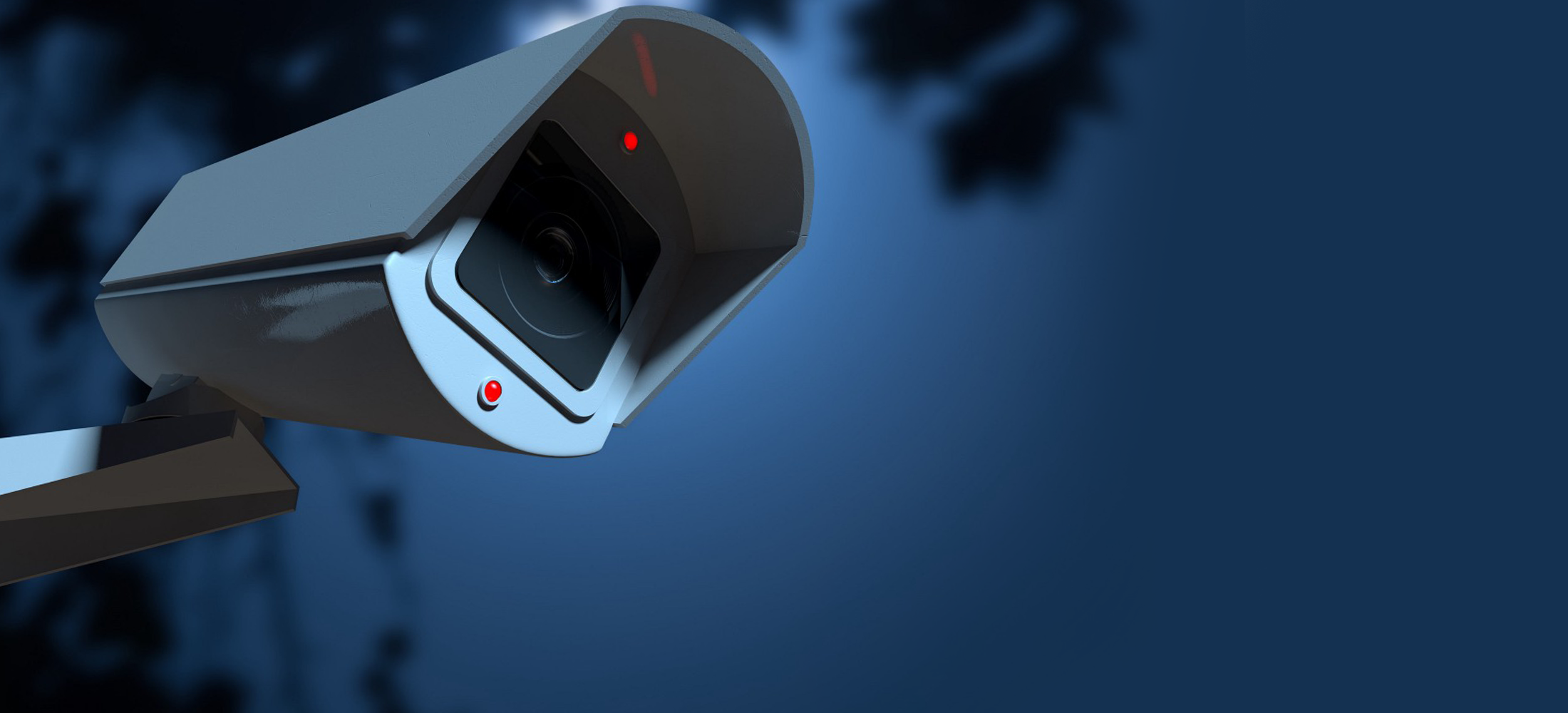 Eagle View Security Systems